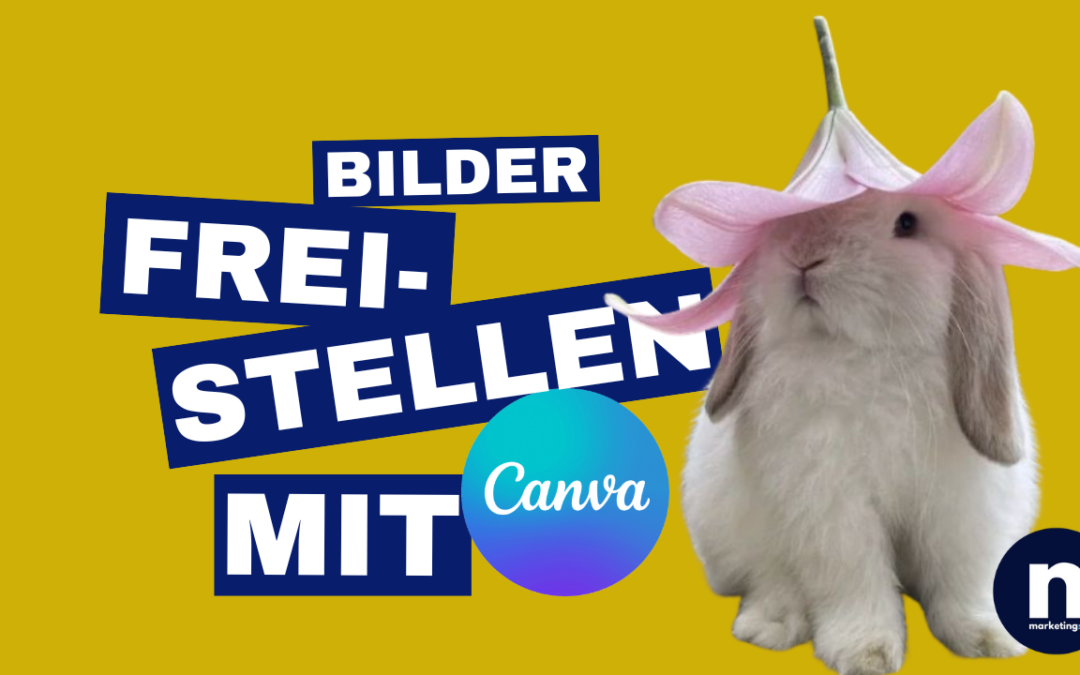 Canva Workflow No. 7: Hintergrund Freistellen